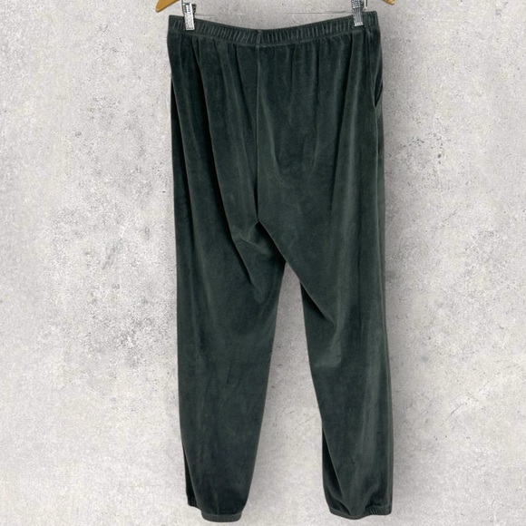 Aerie Velvet Velour Joggers Womens Size Medium Sweat Pants Elastic Waist Lounge - Picture 3 of 14